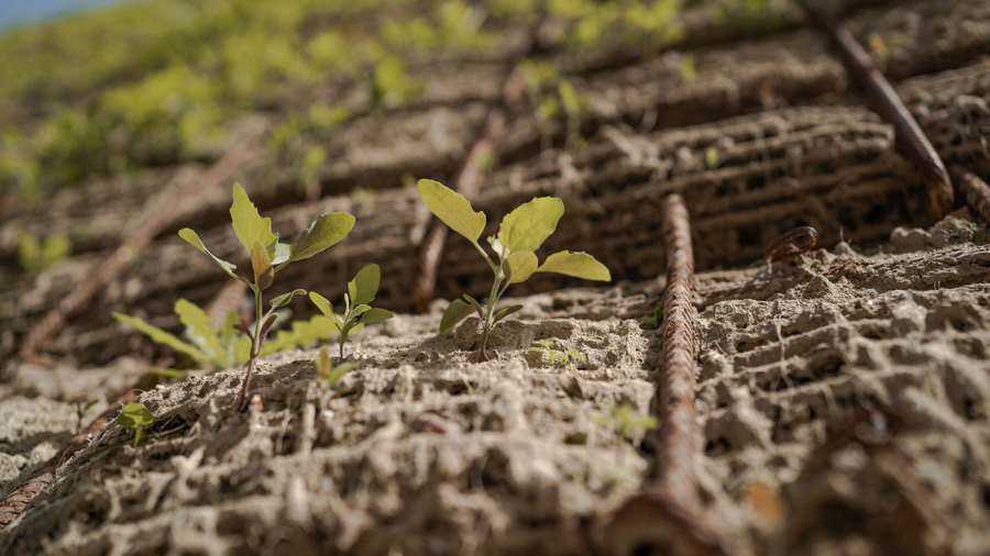 Tief Und Landschaftsbau Hauptbild